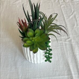Elegant White Planter with Lush Green and Red Succulents